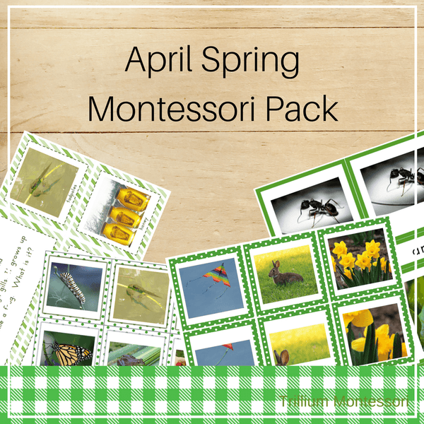 Montessori Style Activities for April and Spring - Trillium Montessori