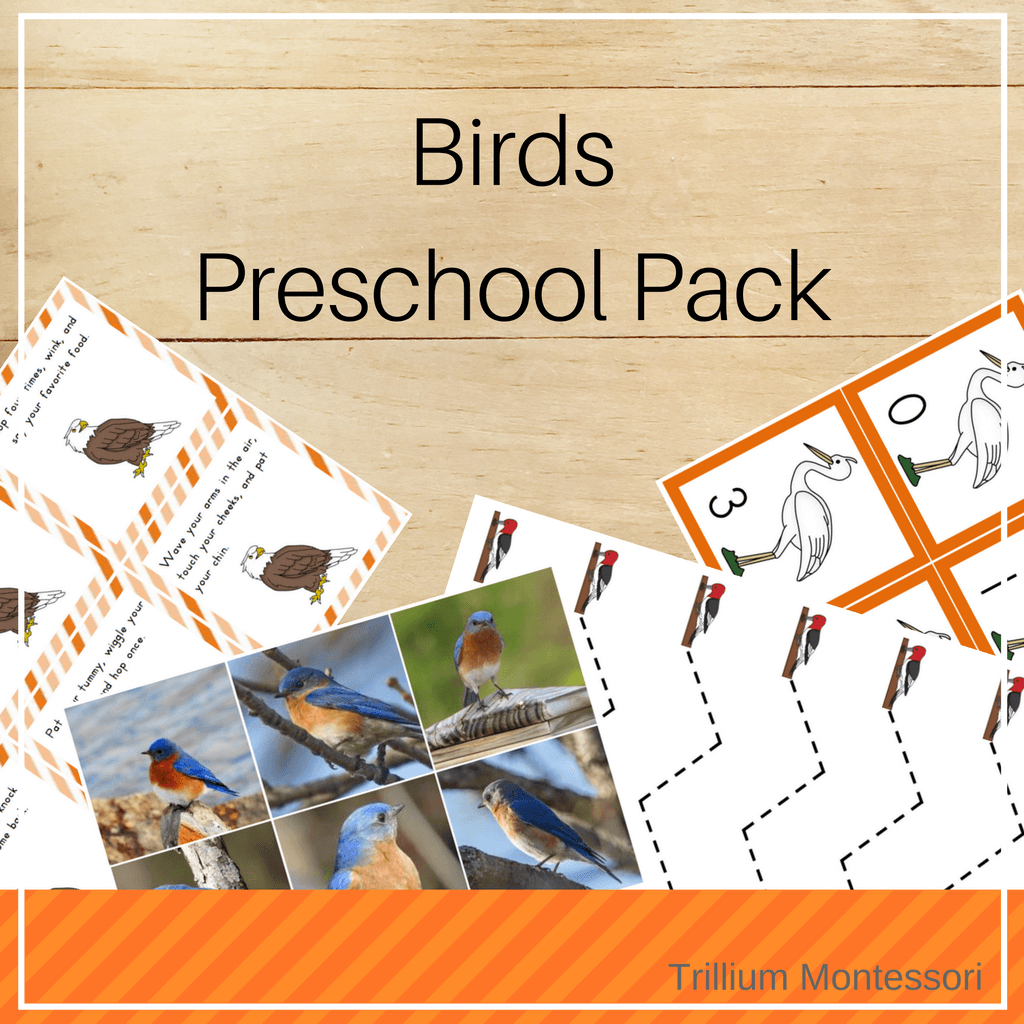 Birds Preschool Pack - Trillium Montessori