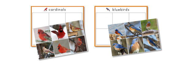 Birds Preschool Pack - Trillium Montessori