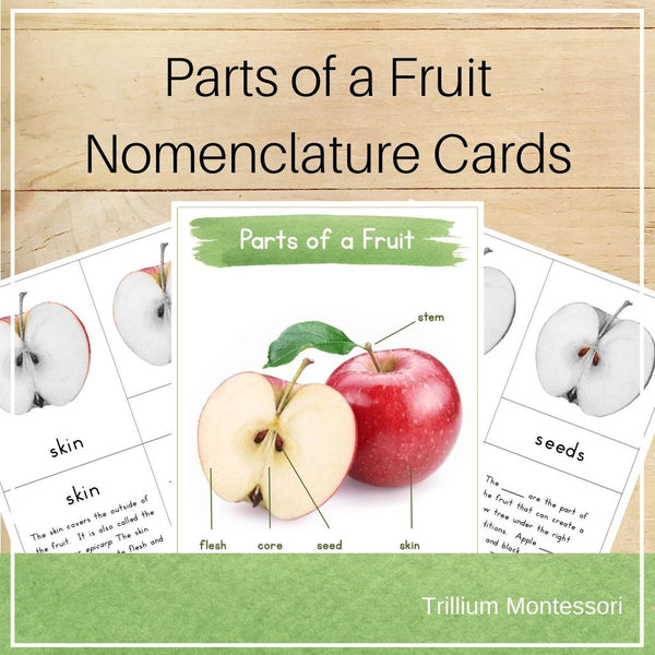 Parts of a Fruit Nomenclature Cards