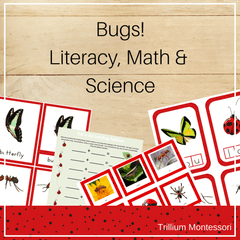 Bugs! Literacy, Math and Science Bundle