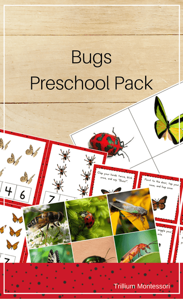 Bugs Preschool Pack - Trillium Montessori