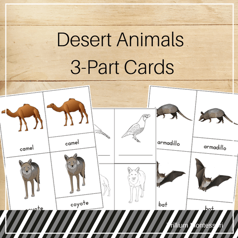 Desert Animals 3-Part Cards - Trillium Montessori