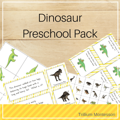 Dinosaurs Preschool Pack
