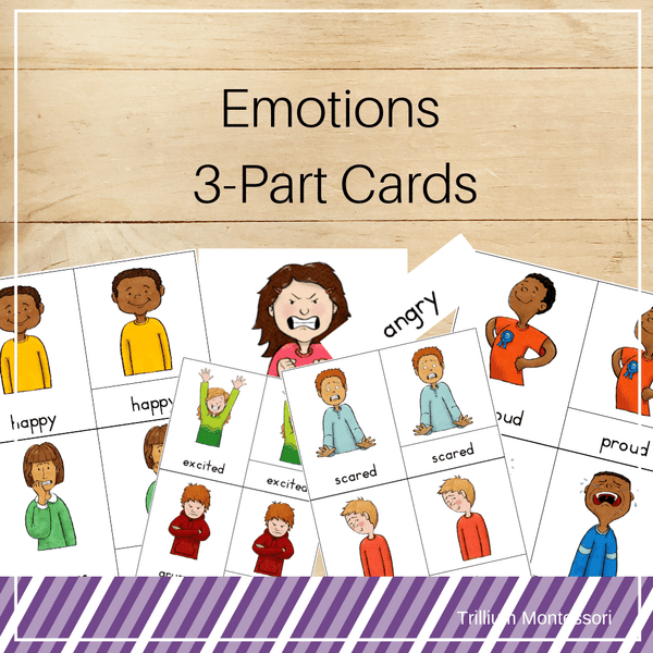 Emotions 3-Part Cards – Trillium Montessori