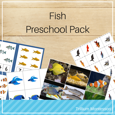 Fish Preschool Pack - Trillium Montessori