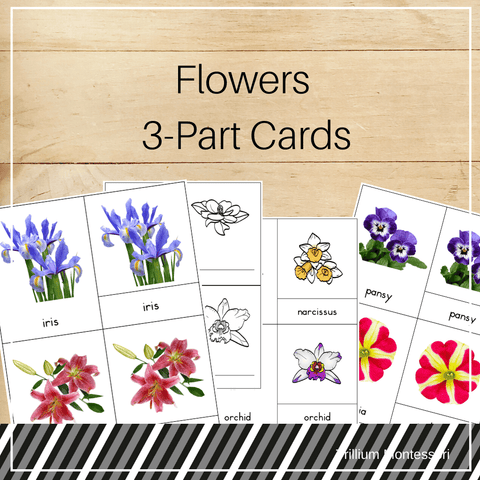 Flowers 3-Part Cards - Trillium Montessori