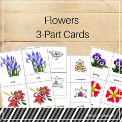 Flowers 3-Part Cards