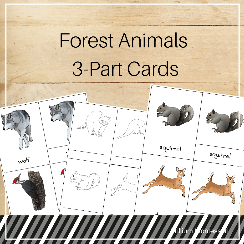 Forest Animals 3-Part Cards - Trillium Montessori