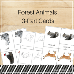 Forest Animals 3-Part Cards