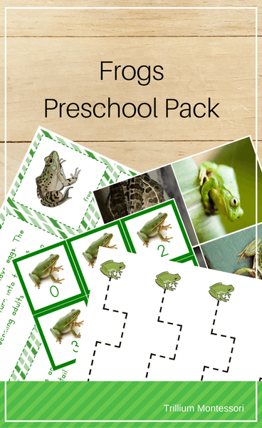 Frogs/Amphibians Preschool Pack - Trillium Montessori