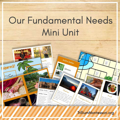 Fundamental Needs Mini Unit