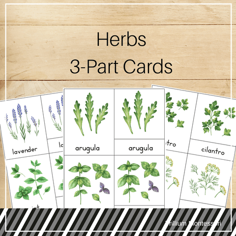 Herbs 3-Part Cards - Trillium Montessori