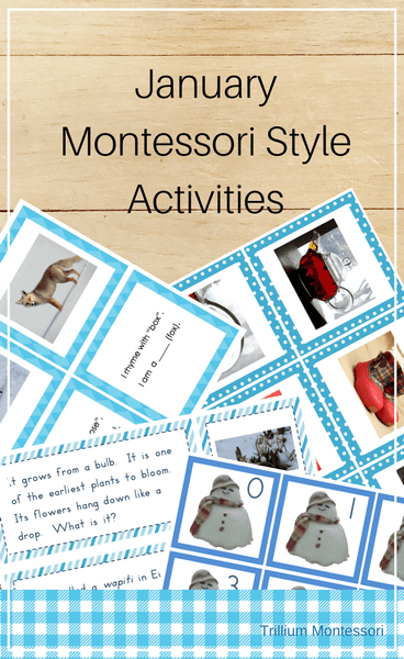Montessori Style Activities for January - Trillium Montessori