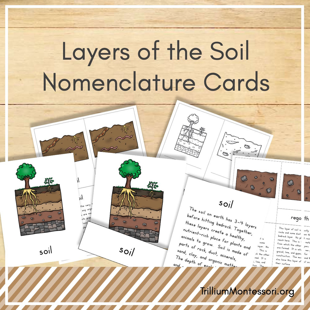 Layers of the Soil Nomenclature Cards