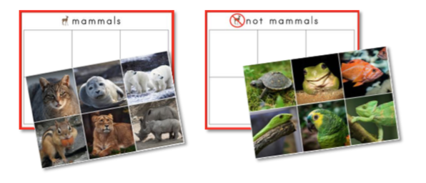 Mammals Preschool Pack - Trillium Montessori