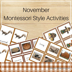 Montessori Style Activities for November