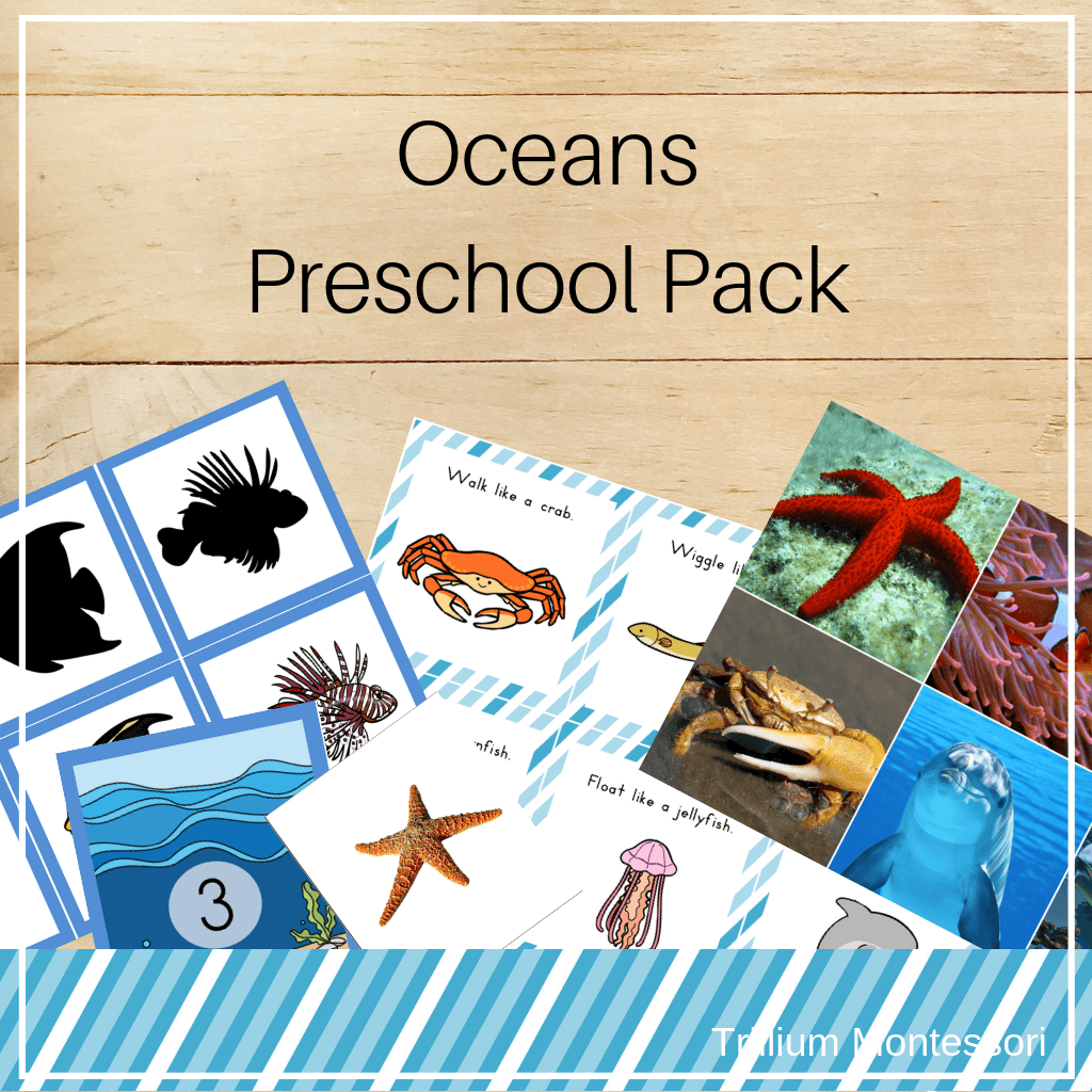Oceans Preschool Pack - Trillium Montessori