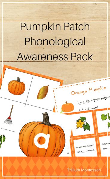 Pumpkin Patch Phonological Awareness Pack - Trillium Montessori