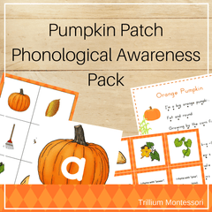 Pumpkin Patch Phonological Awareness Pack