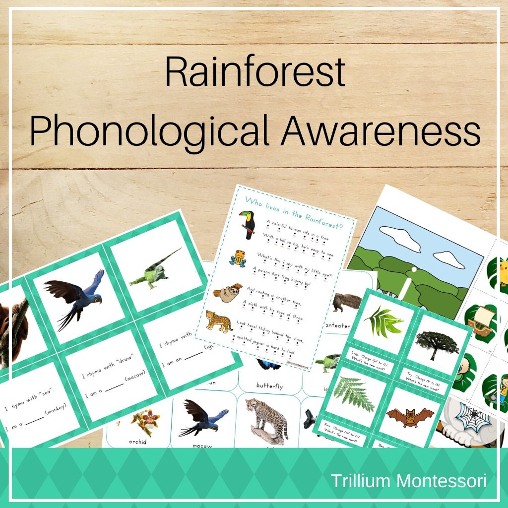 Rainforest Phonological Awareness Pack - Trillium Montessori