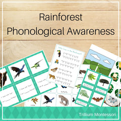 Rainforest Phonological Awareness Pack