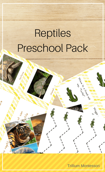 Reptiles Preschool Pack - Trillium Montessori
