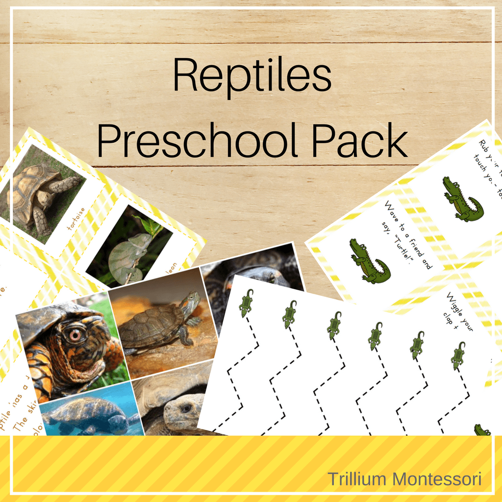 Reptiles Preschool Pack - Trillium Montessori