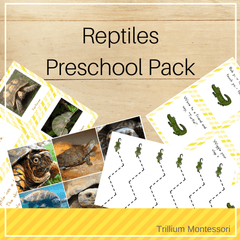 Reptiles Preschool Pack
