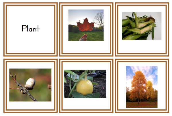 Montessori Style Activities for November - Trillium Montessori