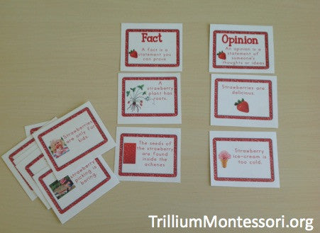 Strawberry Patch Mini Unit - Trillium Montessori