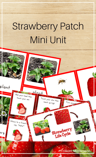 Strawberry Patch Mini Unit - Trillium Montessori