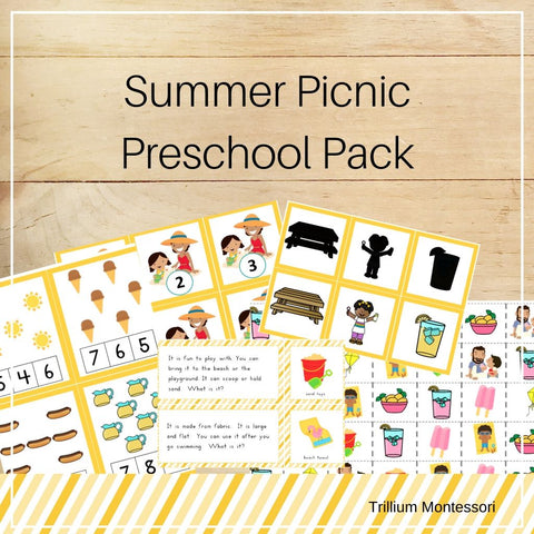 Summer Picnic Preschool Pack