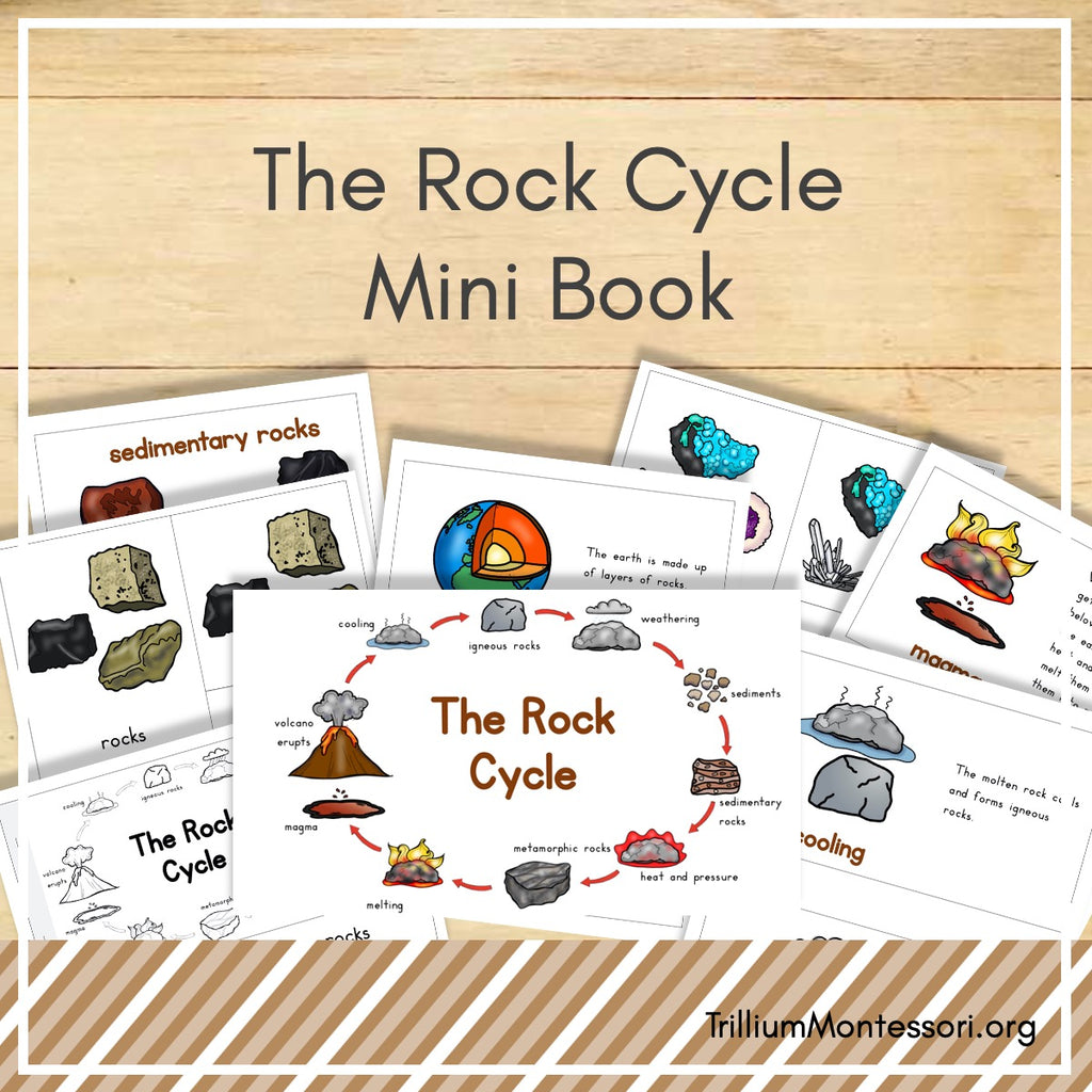 The Rock Cycle Mini Book