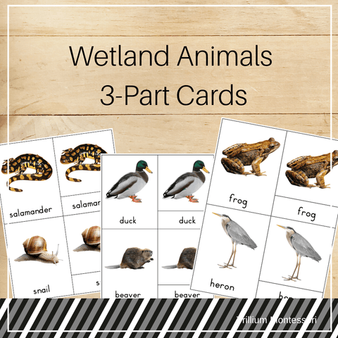 Wetland Animals 3-Part Cards - Trillium Montessori