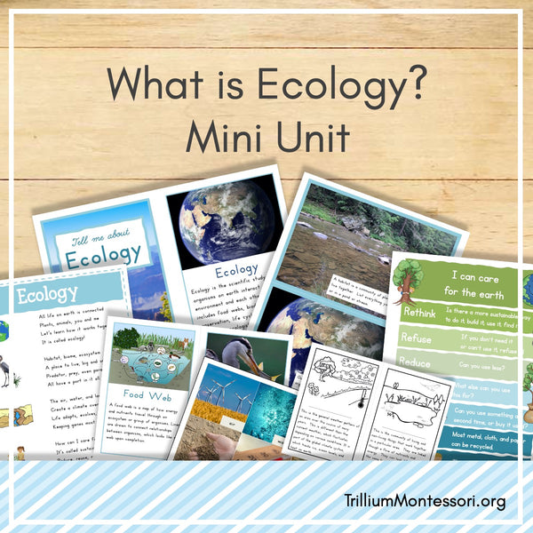 Ecology Mini Unit